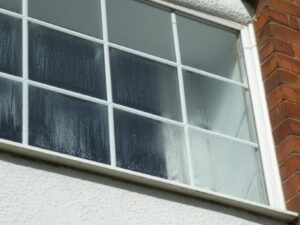 PVC windows building survey
