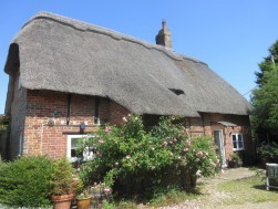 Thatch listed building survey