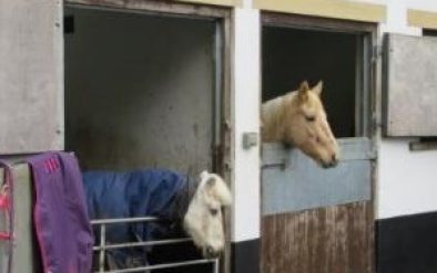 coach house survey Bath