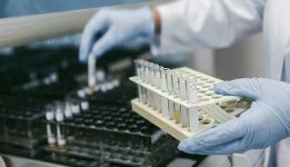 soil-testing