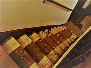 Stairs Stair carpet DIY