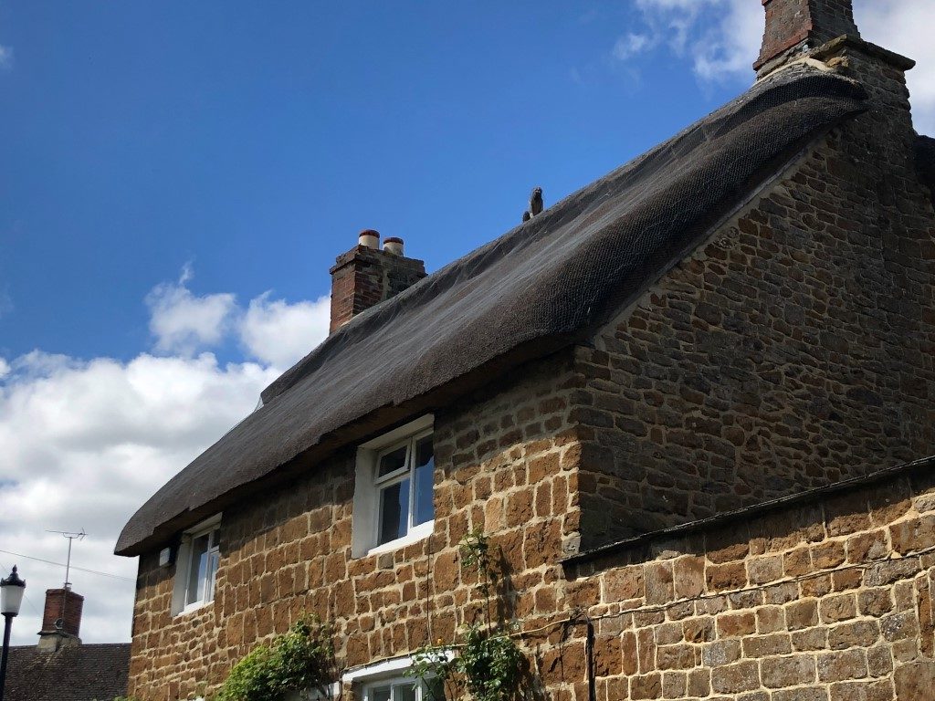 Building survey thatched property