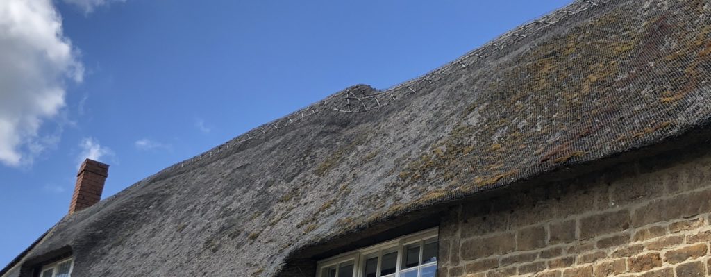 Oxford thatched roof survey