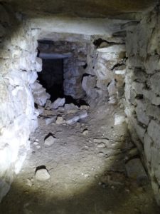 Cellar tunnel found on survey