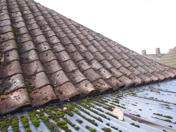 asbestos roof covering nottingham