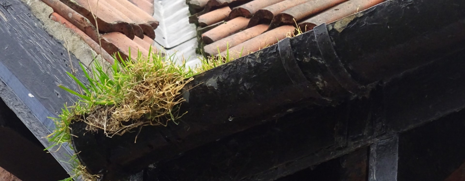 Blocked gutters building survey feat