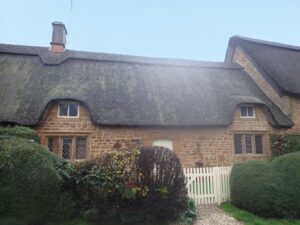 Cotswold thatch survey