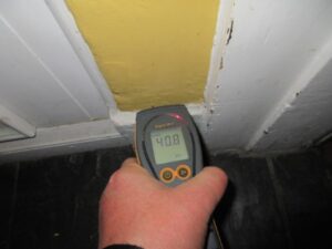 high damp reading building survey