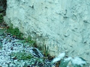 Building survey damp issues