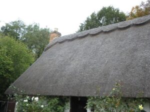 thatched cottage listed building survey
